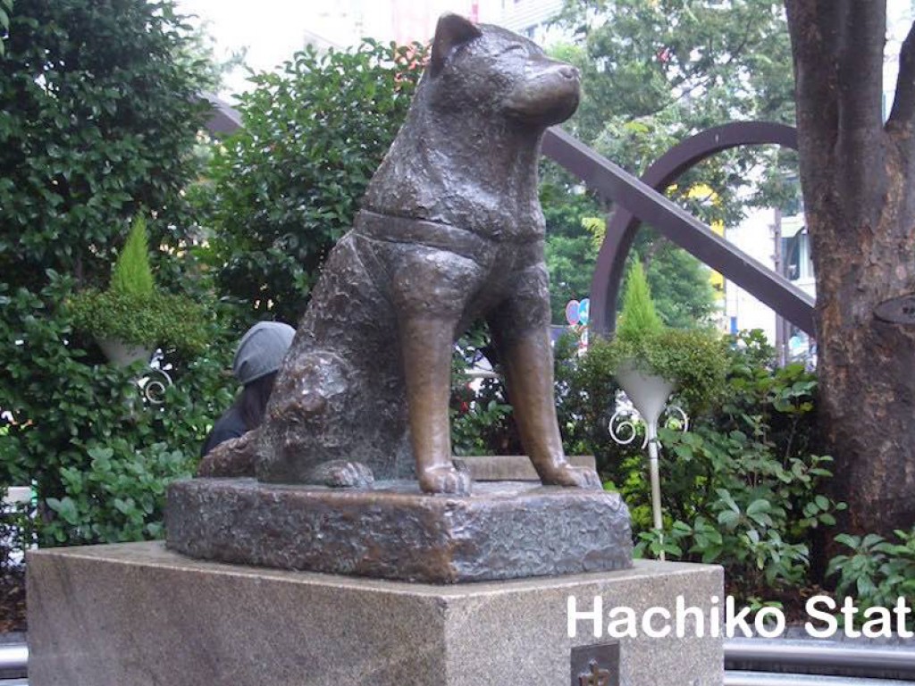 Wonderful Tokyo 1 Day Trip with Private Car and Driver 3